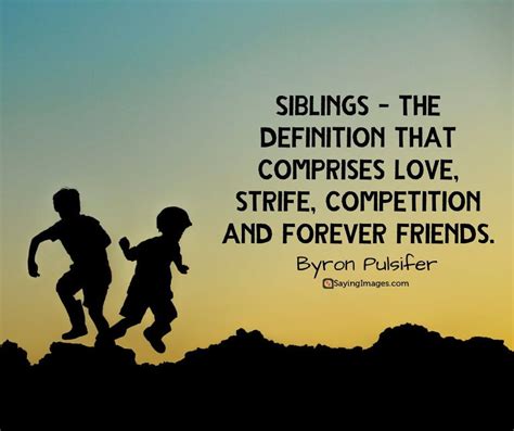 40 Best Sibling Quotes .